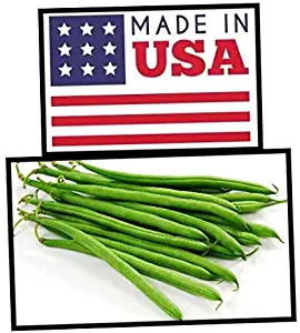 Green Bean Seeds-Heirloom Variety-Bush Bean Planting Seeds-50+ Seeds-USA Grown and Shipped from USA