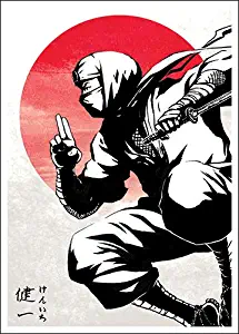 Kenichi - Shadow Clan Ninja - Matte TCG Card Sleeves (FN7S)