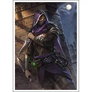 Eldragin Raithe - Assassin at Dusk - Matte TCG Card Sleeves (FN8S)