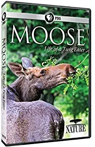 Nature: Moose: Life of a Twig Eater