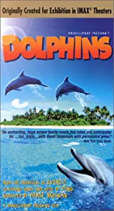 Dolphins - Large Format [VHS]