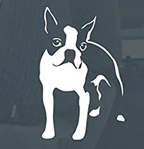 Keen Boston Terrier Standing Vinyl Decal Sticker Car/Truck Laptop/Netbook Window |5.5 X 3.5 in Decal
