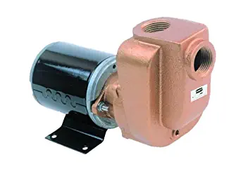 AMT Pump 4851-97 Self-Priming Utility Pump, Bronze, 1/8 HP, 12V DC TENV Marine Motor, 3/4" NPT Female Suction & Discharge Ports