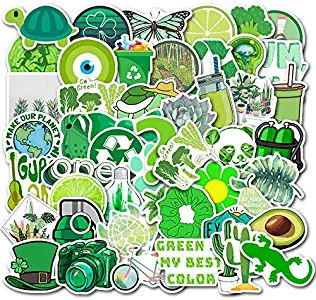 Cute VSCO Stickers Laptop Stickers Water Bottle Stickers Luggage Decal Graffiti Patches Skateboard Stickers No-Duplicate Sticker for Kids Teens Girls (Green)